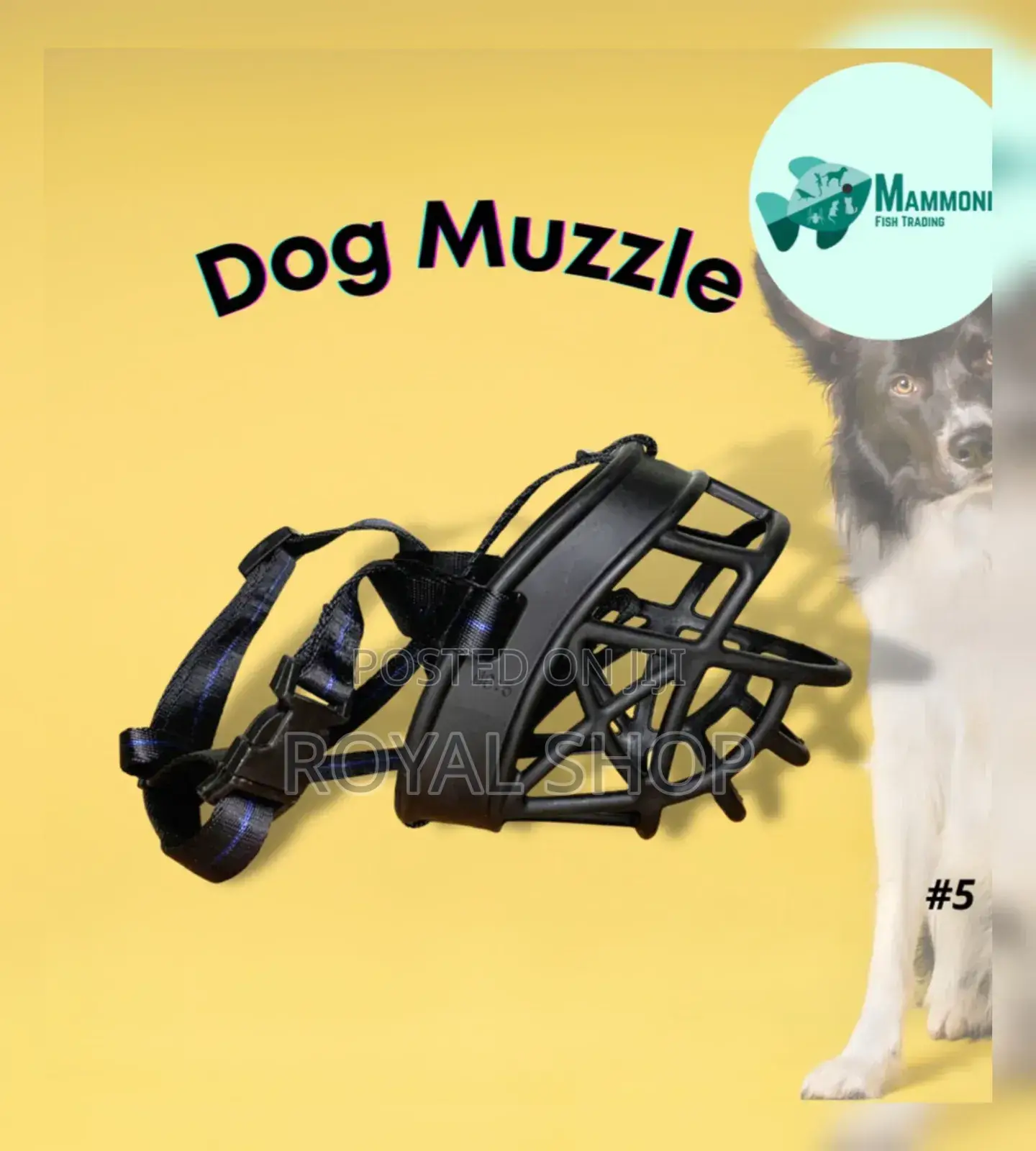 Dog Muzzle Dog Muzzle