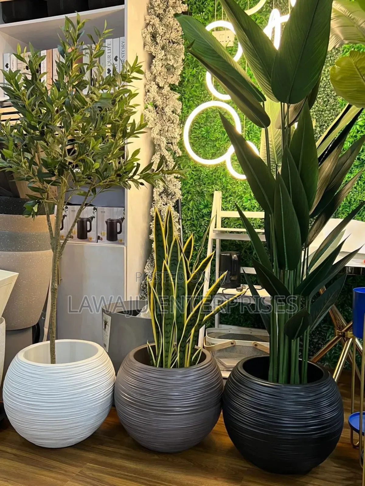 Premium Flower Pots