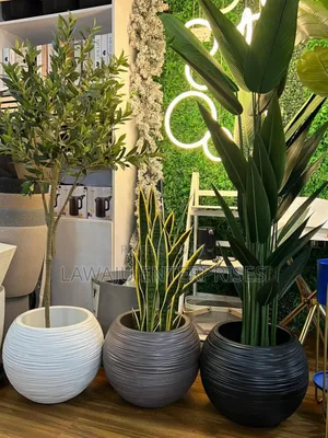 Premium Flower Pots