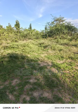 One Acre for Sale at Nguluni