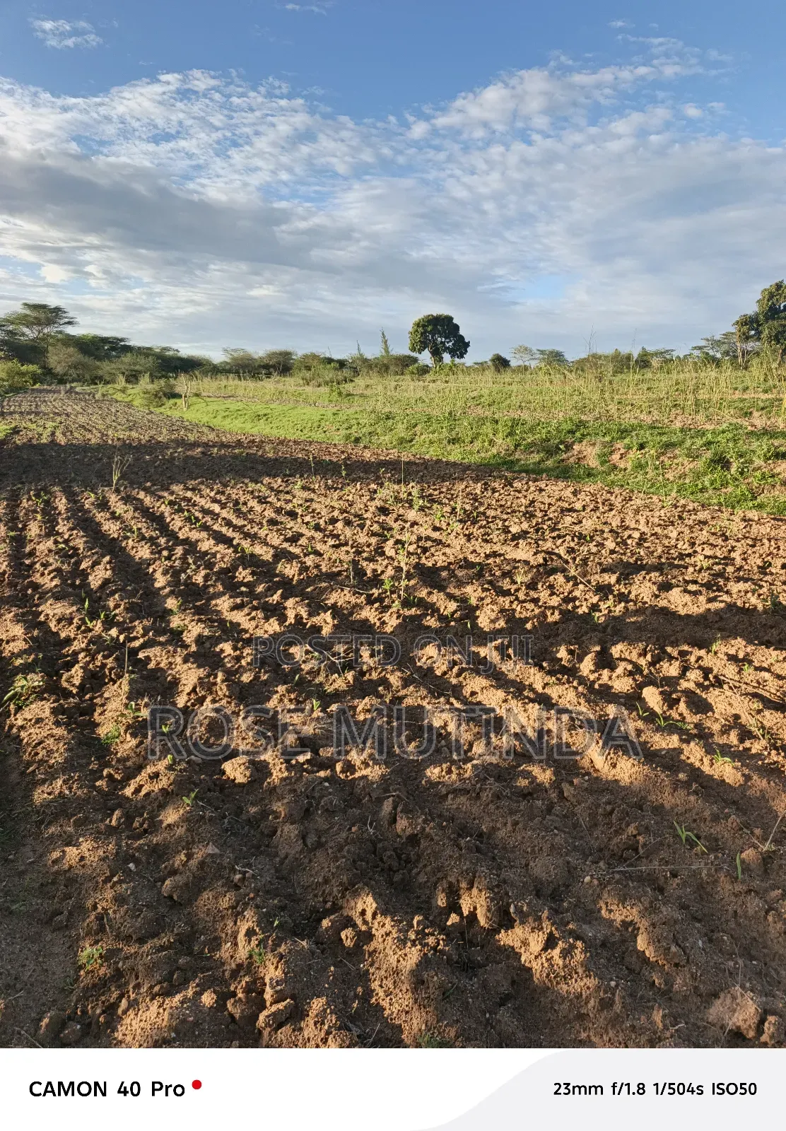 Four Acres for Sale at Nguluni
