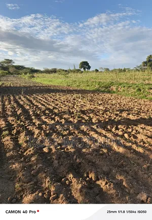Four Acres for Sale at Nguluni
