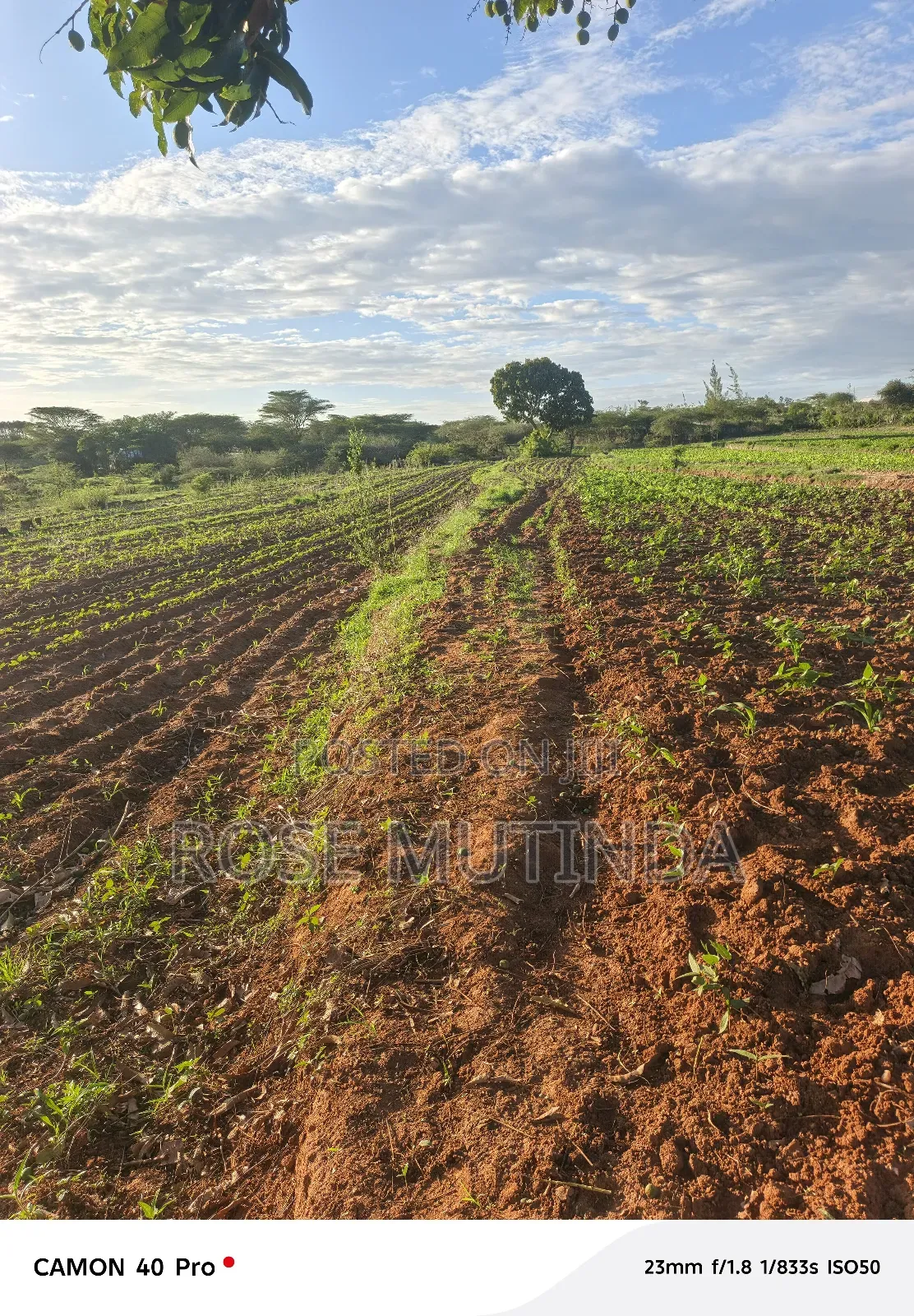 Four Acres for Sale at Nguluni