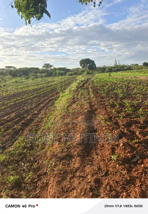 Four Acres for Sale at Nguluni