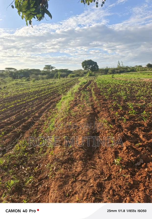 Four Acres for Sale at Nguluni - thumbnail 3