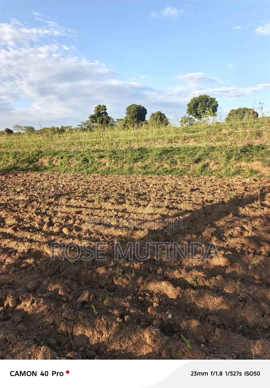 Four Acres for Sale at Nguluni