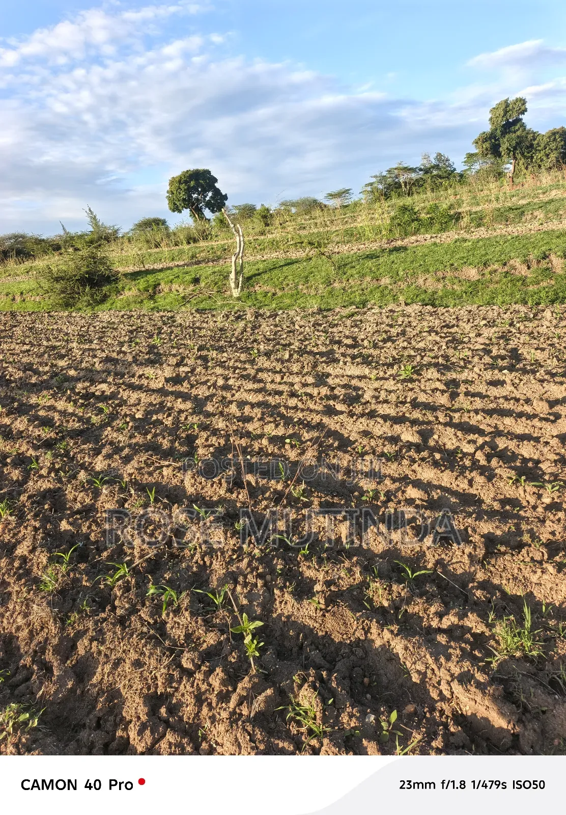Four Acres for Sale at Nguluni