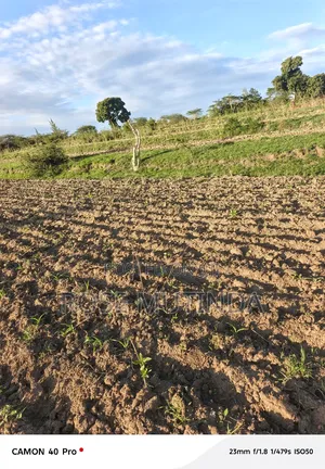 Four Acres for Sale at Nguluni