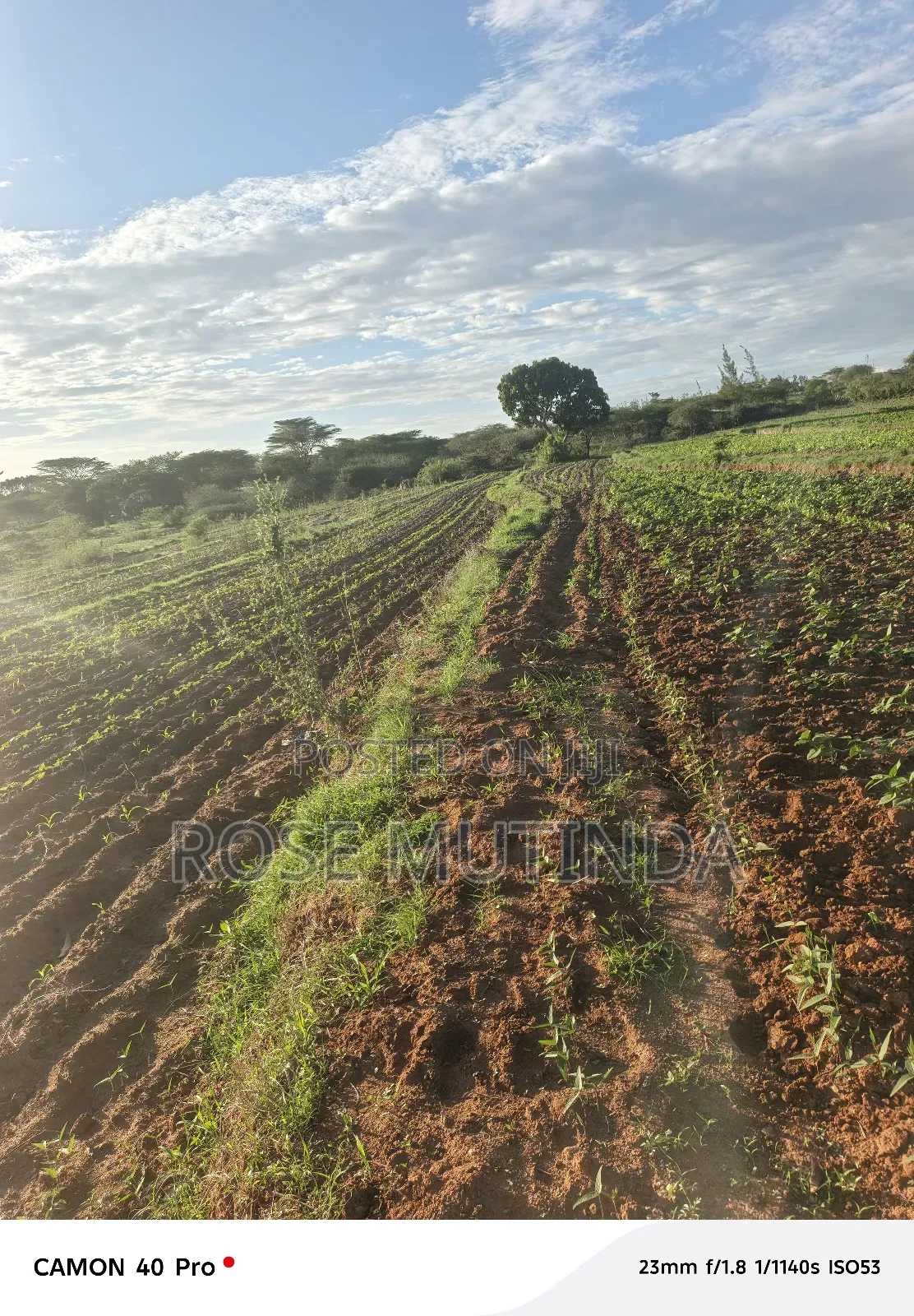 Four Acres for Sale at Nguluni