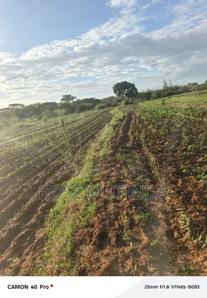 Four Acres for Sale at Nguluni