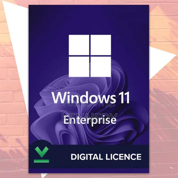 Windows 11 Enterprise - main view
