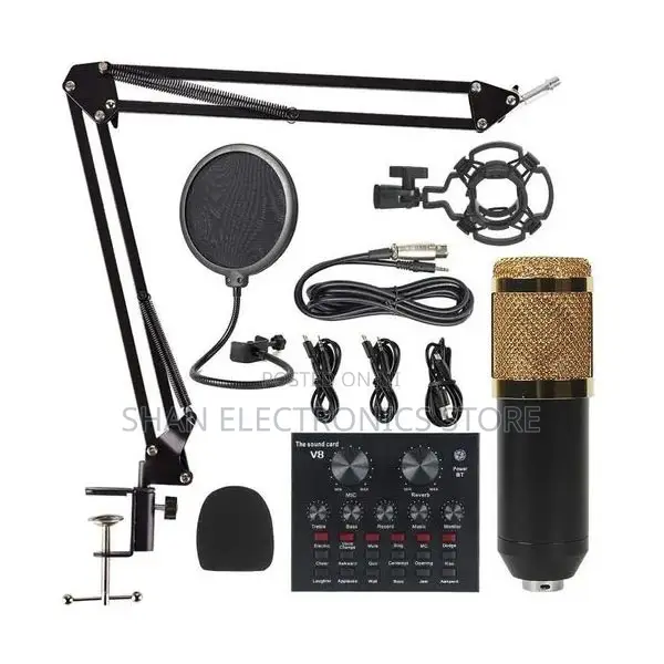 Bm800 Professional Condenser Microphone V8 Sound Card Set for Webcast
