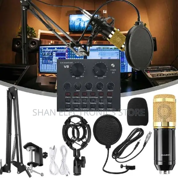 Bm-800 Professional Condenser Microphone With V8 Soundcard
