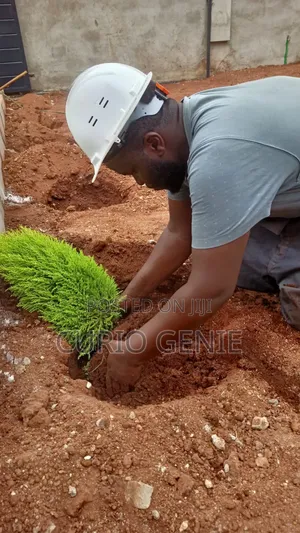 Landscaping and Gardening Services
