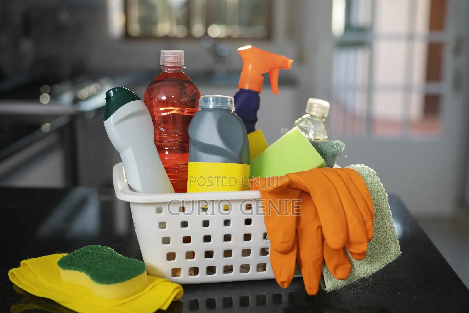 Cleaning Services