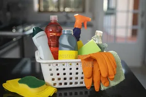 Cleaning Services