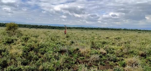 Kajido Lodariak - main view