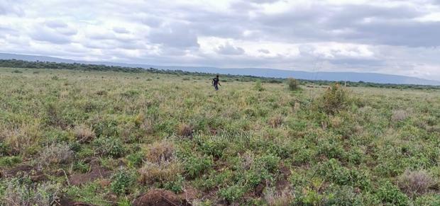 Kajido Lodariak - thumbnail 2