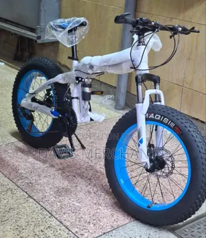 Fat Bike Size 20 With Gear