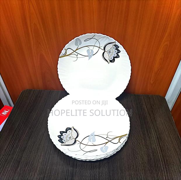 6pcs Dinner Ceramic Plates - main view