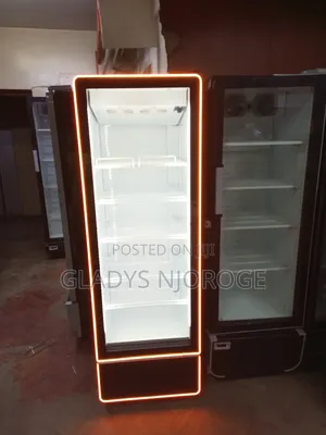Unique Chiller 450l , Perfect Working