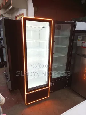 Unique Chiller 450l , Perfect Working