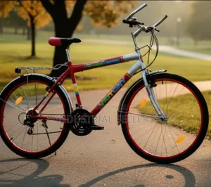 Victory Bike 26" MTB With Gear
