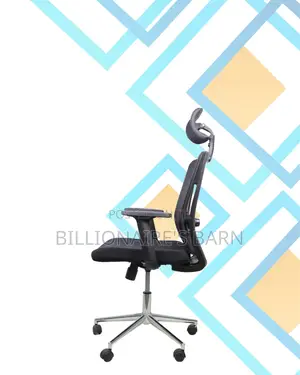Office Mesh Chair With Lumbar Support | Designed for Long Hours