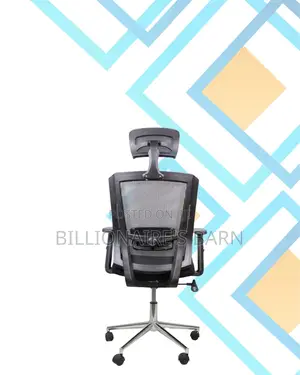Office Mesh Chair With Lumbar Support | Designed for Long Hours