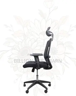 Mesh Work Chair With Lumbar Support | Nylon Base, Solid Support
