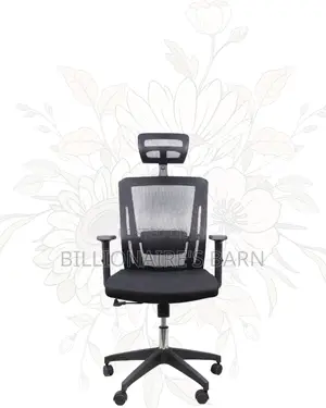 Mesh Work Chair With Lumbar Support | Nylon Base, Solid Support