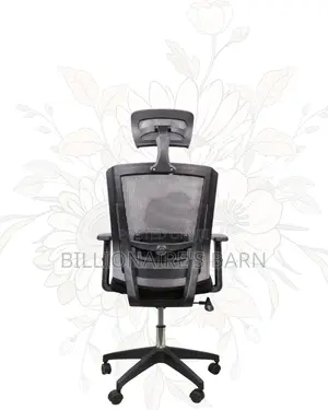 Mesh Work Chair With Lumbar Support | Nylon Base, Solid Support