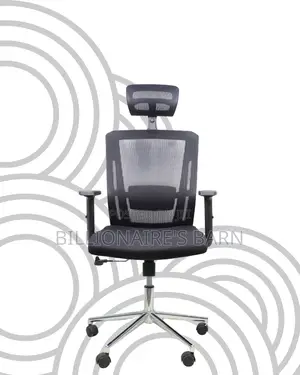 Sleek Mesh Chair With Chrome Base | Premium Look, Daily Comfort