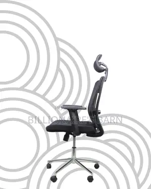 Sleek Mesh Chair With Chrome Base | Premium Look, Daily Comfort