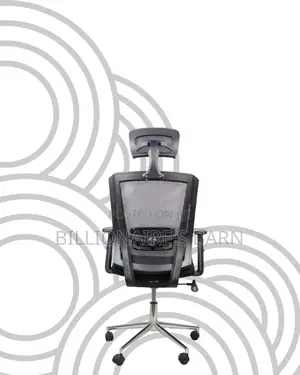 Sleek Mesh Chair With Chrome Base | Premium Look, Daily Comfort