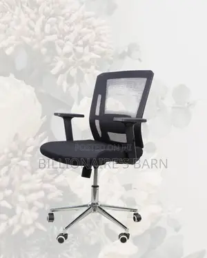 Premium Mid-Back Desk Chair | Chrome Base, Modern Look