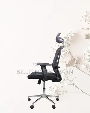 Adjustable Mesh Work Chair | All-Day Back Support
