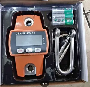 Mini Crane Scale 300kgs