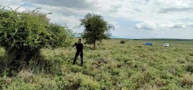 Kajido Lodariak - thumbnail 3