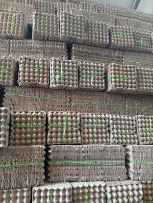 Brown Paper Tray - thumbnail 2