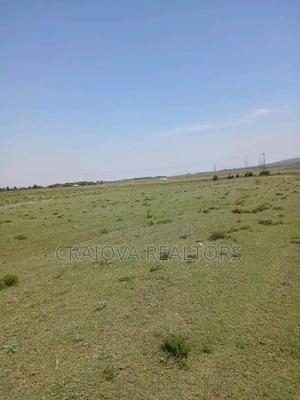 Land for Sale in Nakuru - thumbnail 2