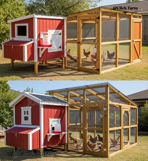 Bird/ Chicken House