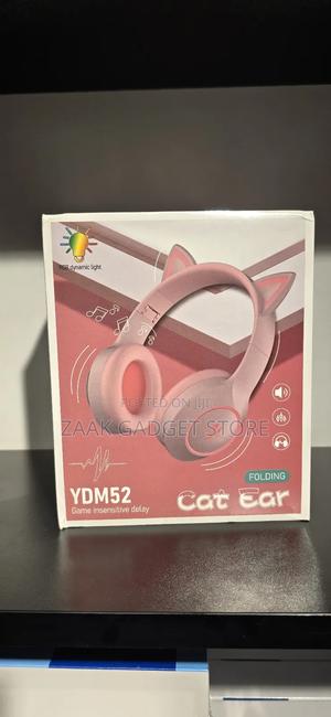 Folding Cat Ear Headphones With RGB Dynamic Light - main view