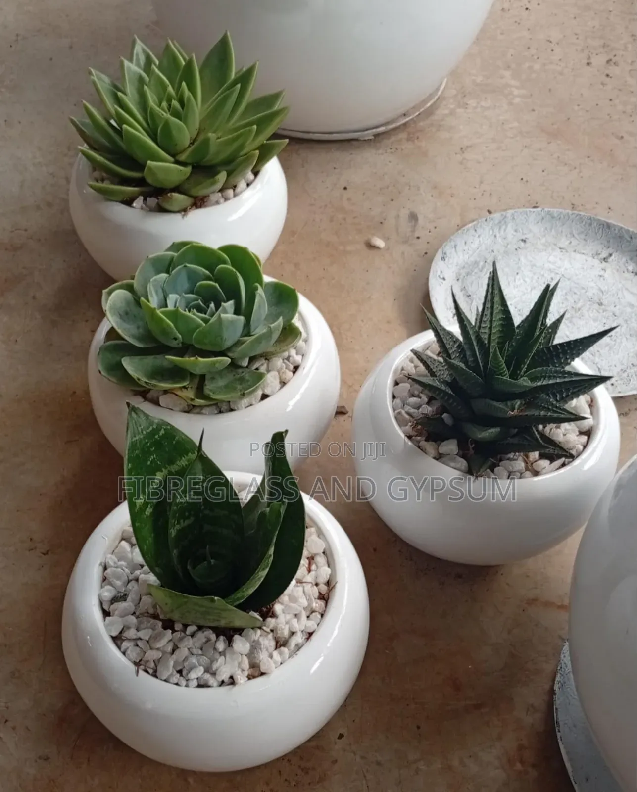 Fibreglass Flower Pots
