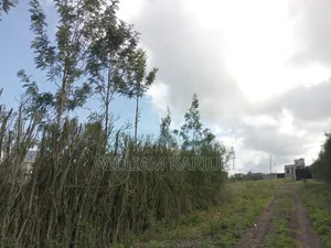 (40*80,40*60,30*90) Pieces of Land With Title Deed in Kamulu Athi