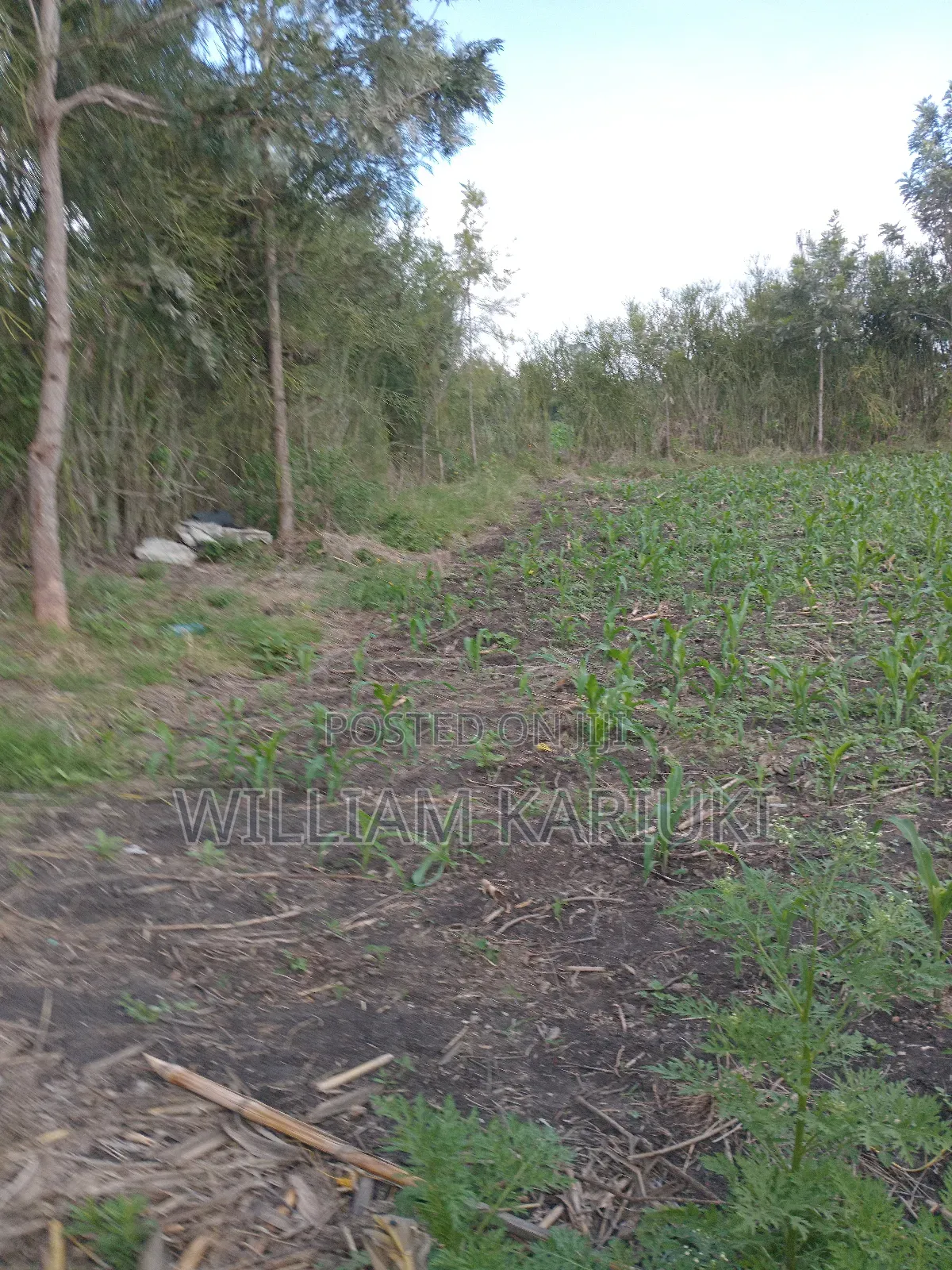 (40*80,40*60,30*90) Pieces of Land With Title Deed in Kamulu Athi