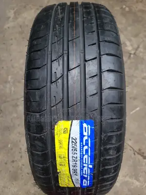 225/55r19 Accelera Tires