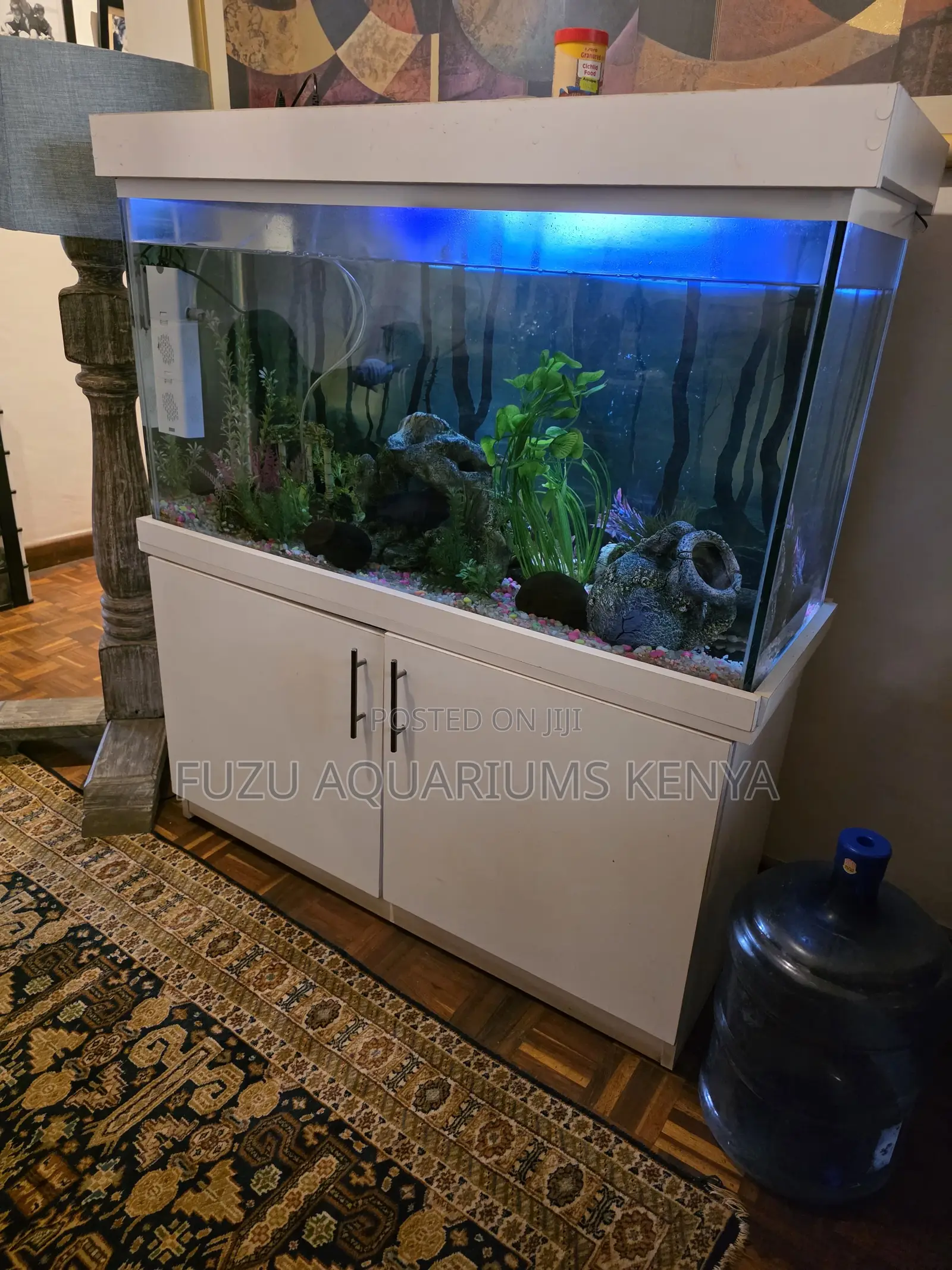 Stunning Medium Aquarium + White Stand - Fully Loaded!