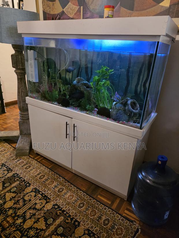 Stunning Medium Aquarium + White Stand - Fully Loaded! - main view