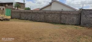 Kalimoni Plains - main view